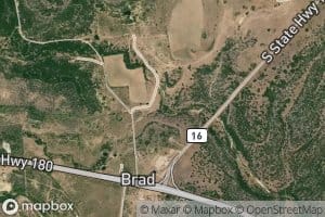 Brad Branch