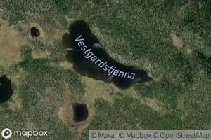 Vestgardtjorna