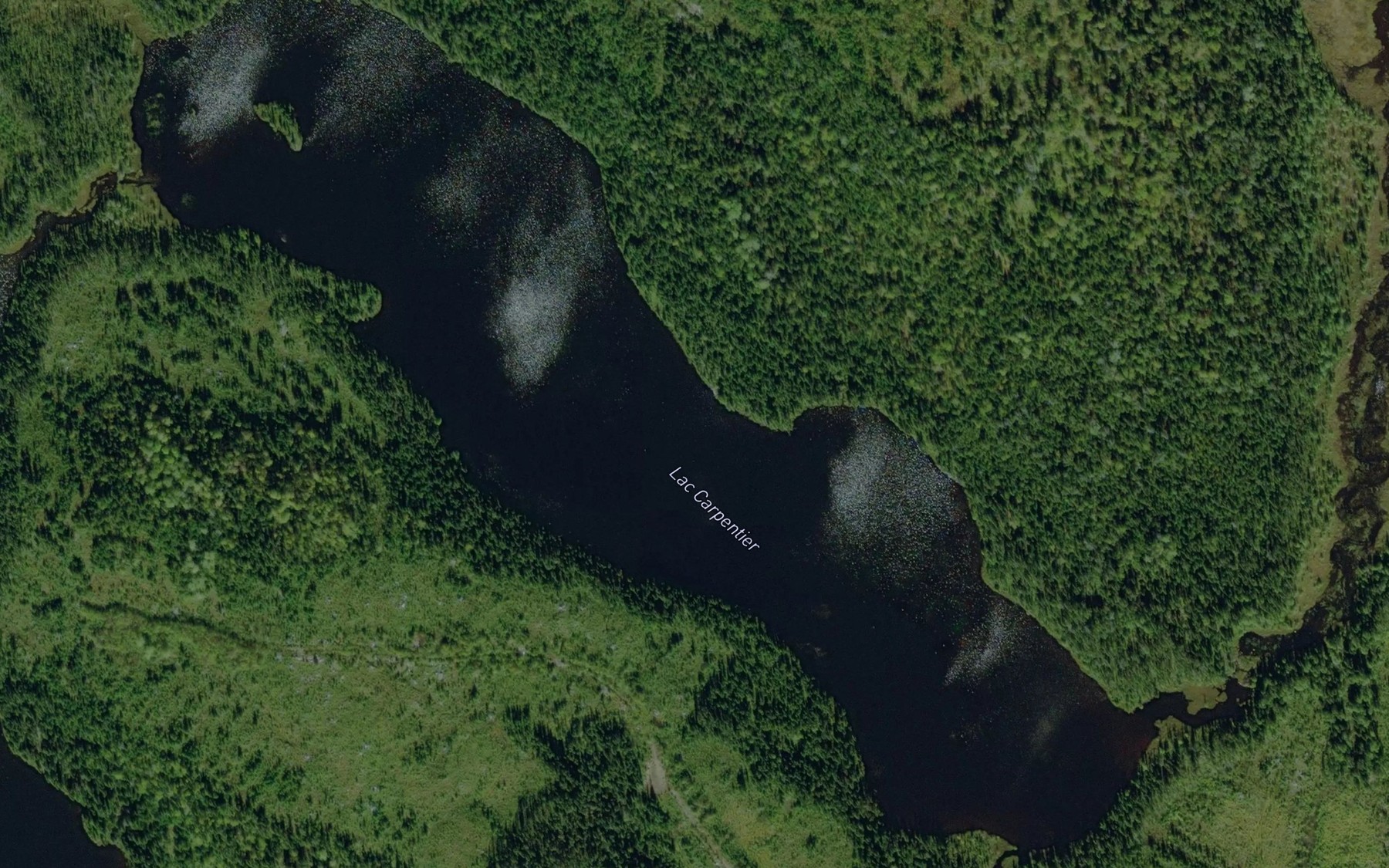 Satellite map of the Lac Carpentier