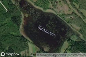 Kaislanen