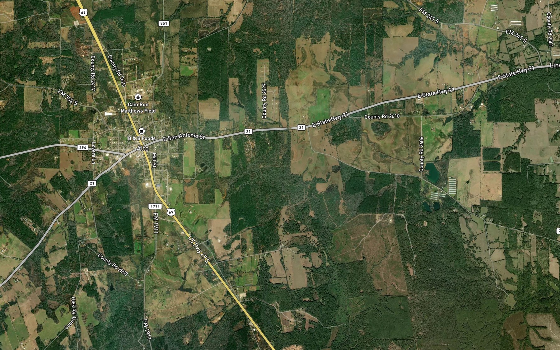Satellite map of the Alto Branch