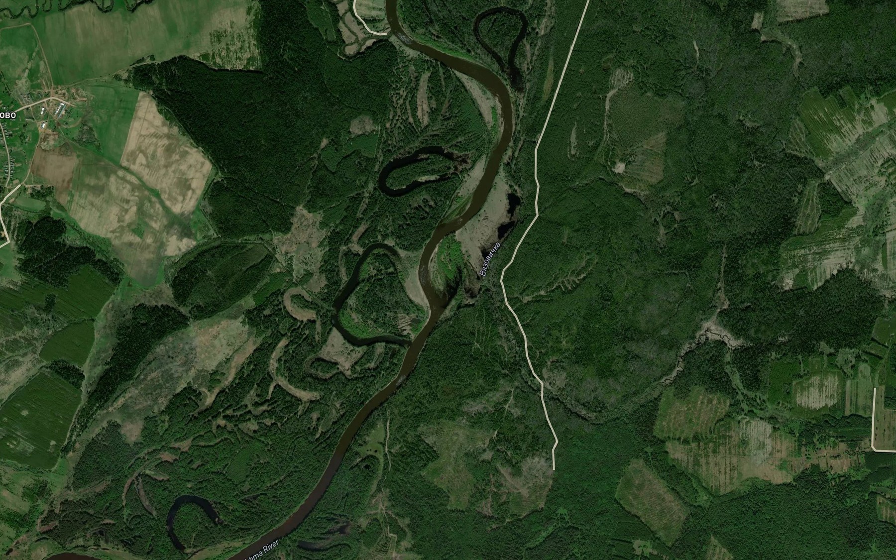 Satellite map of the Vyazovichka