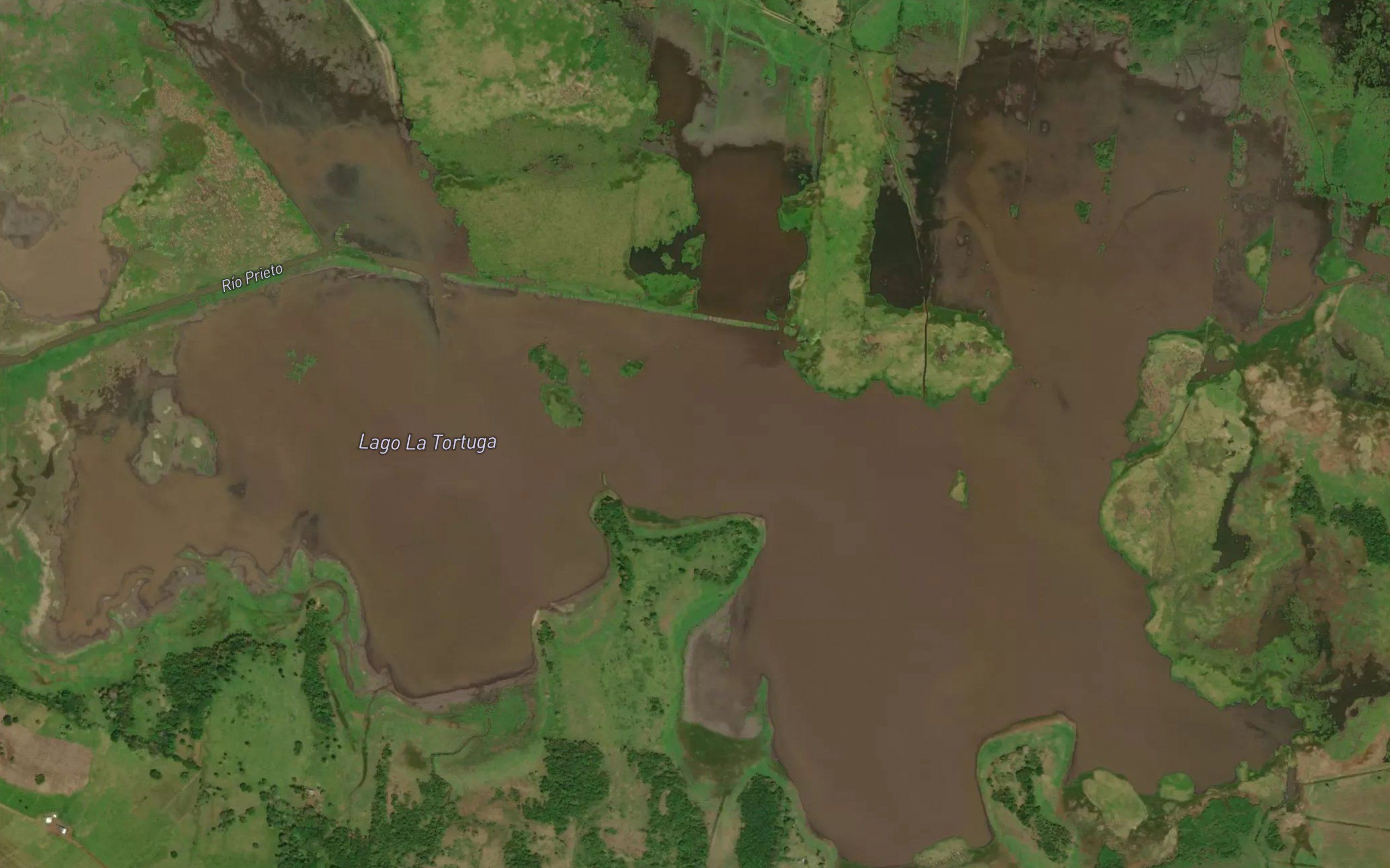 Laguna la Tortuga