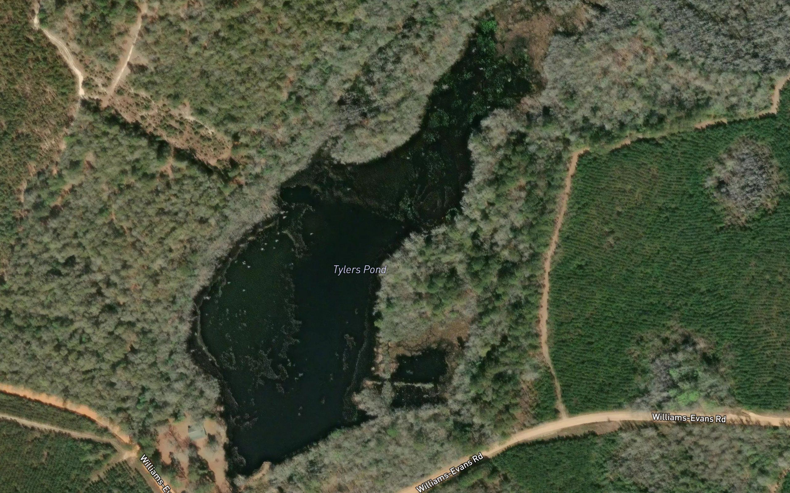 Tylers Pond