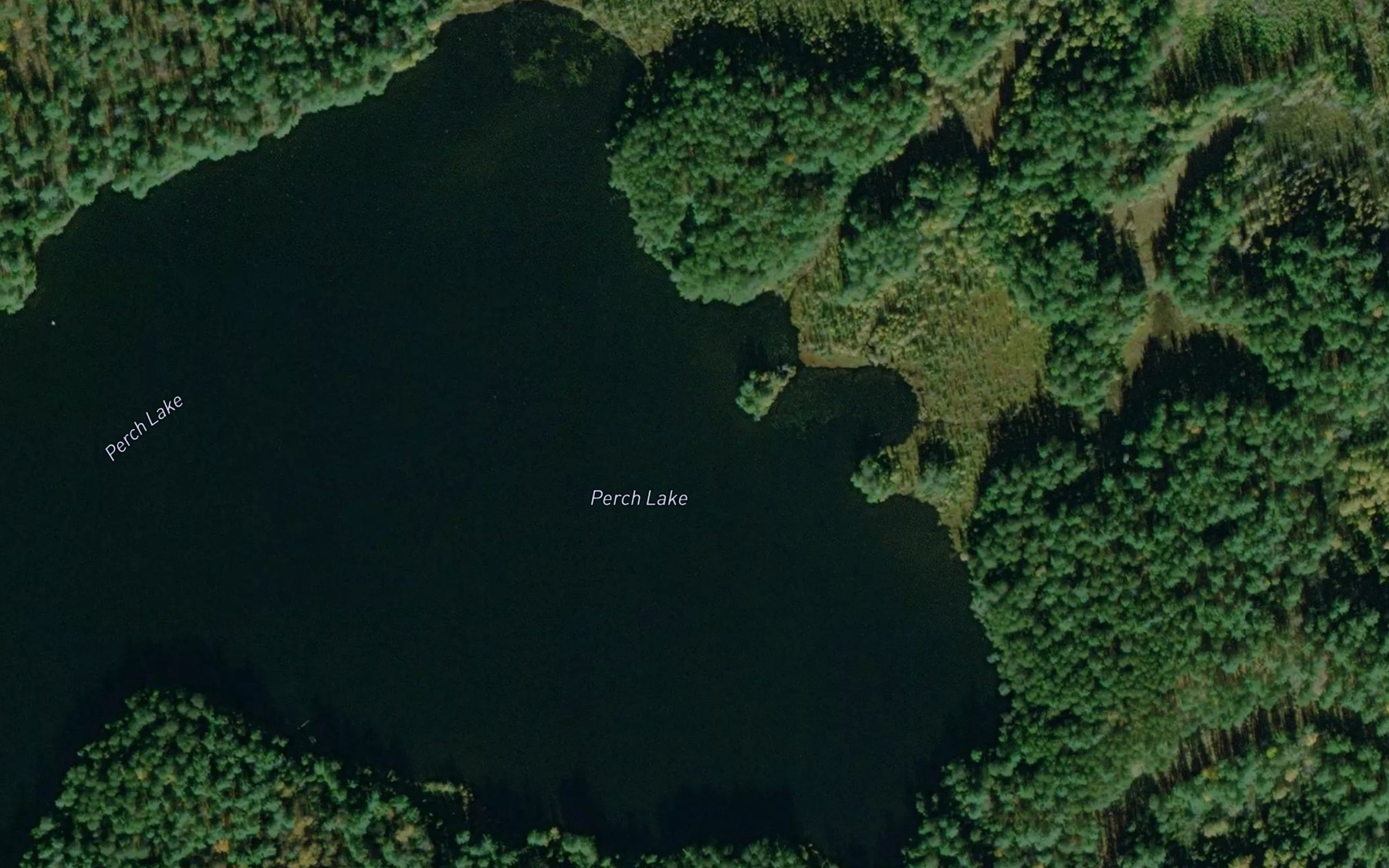 Satellite map of the Perch Lake