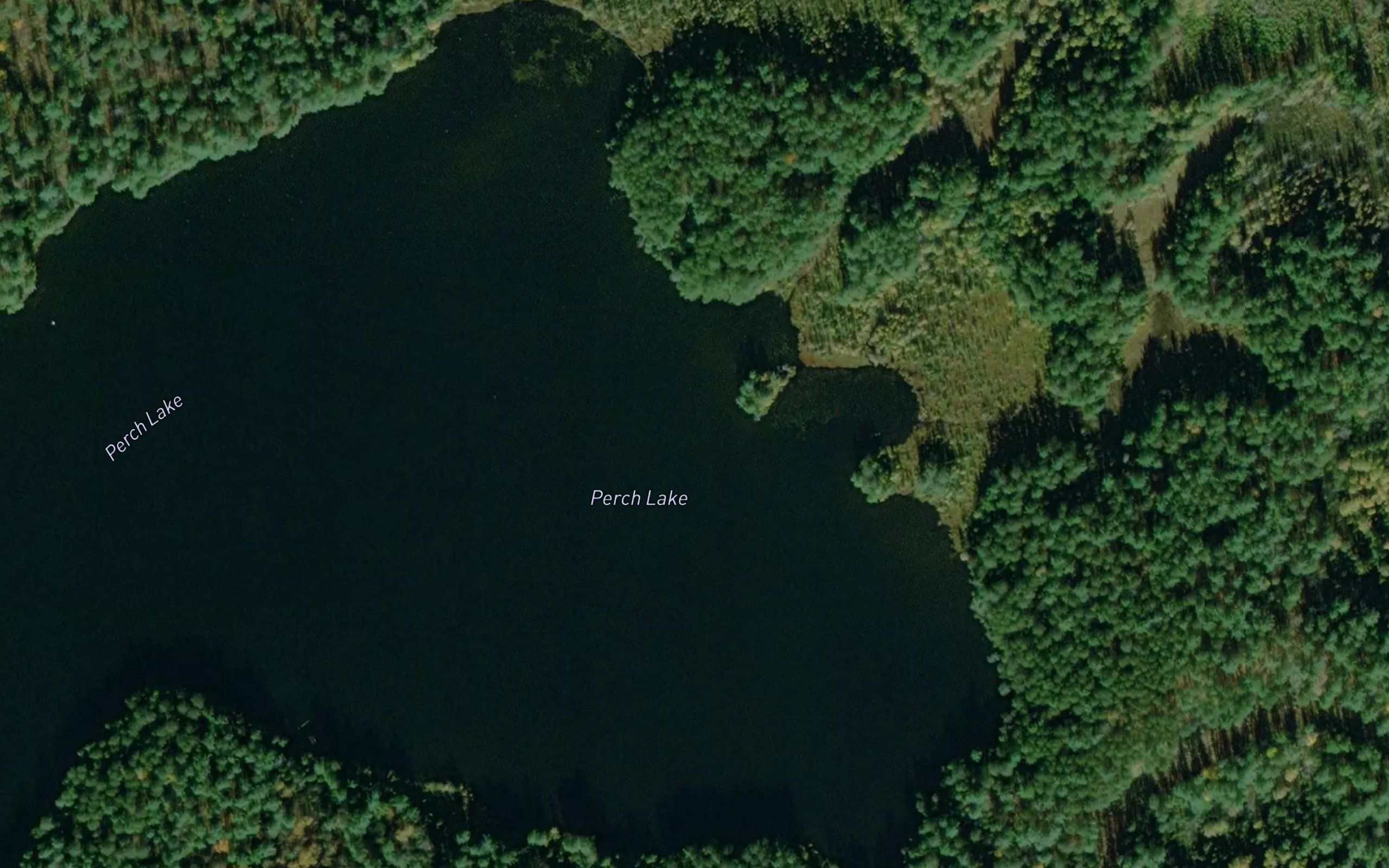 Perch Lake