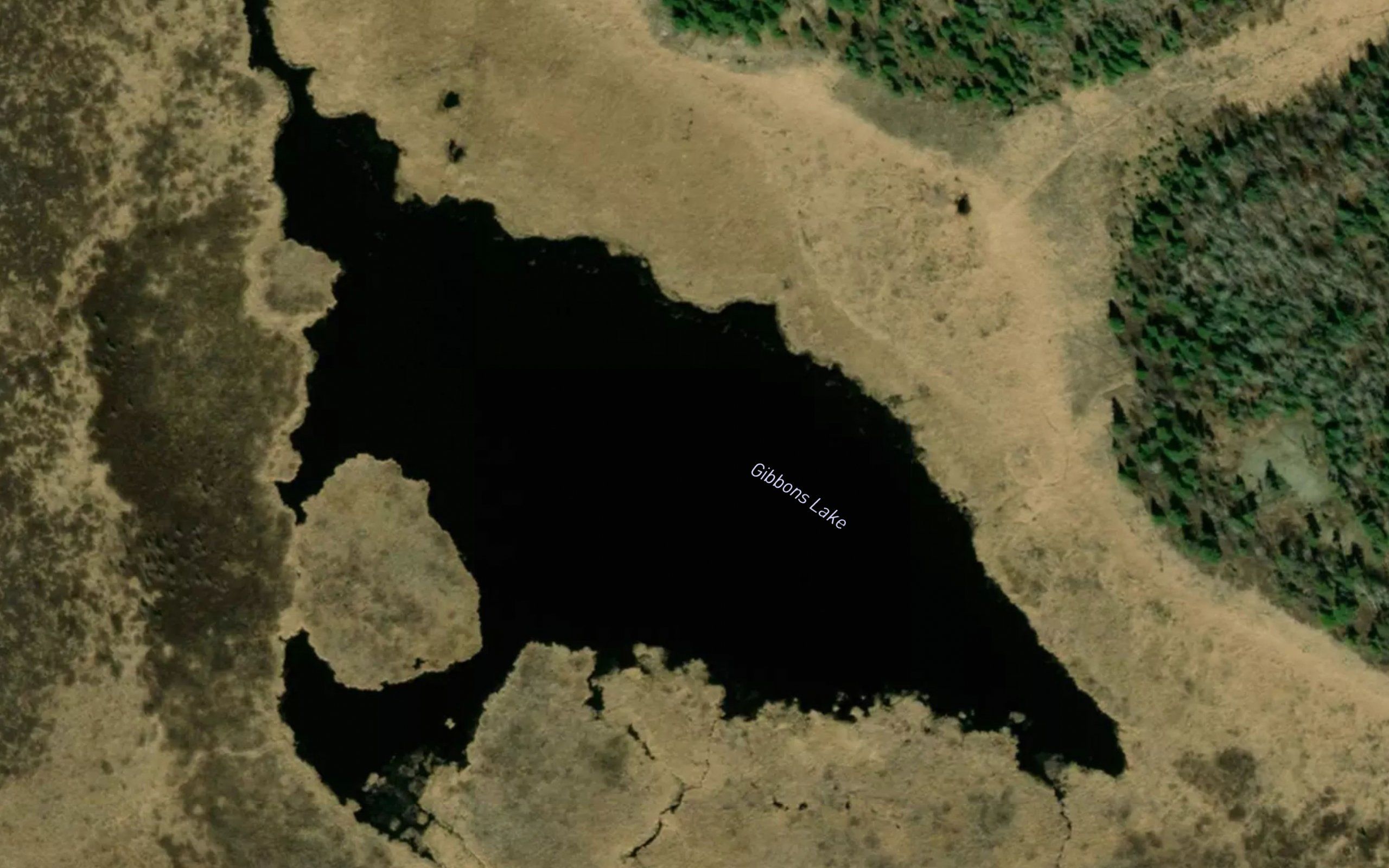 Gibbons Lake