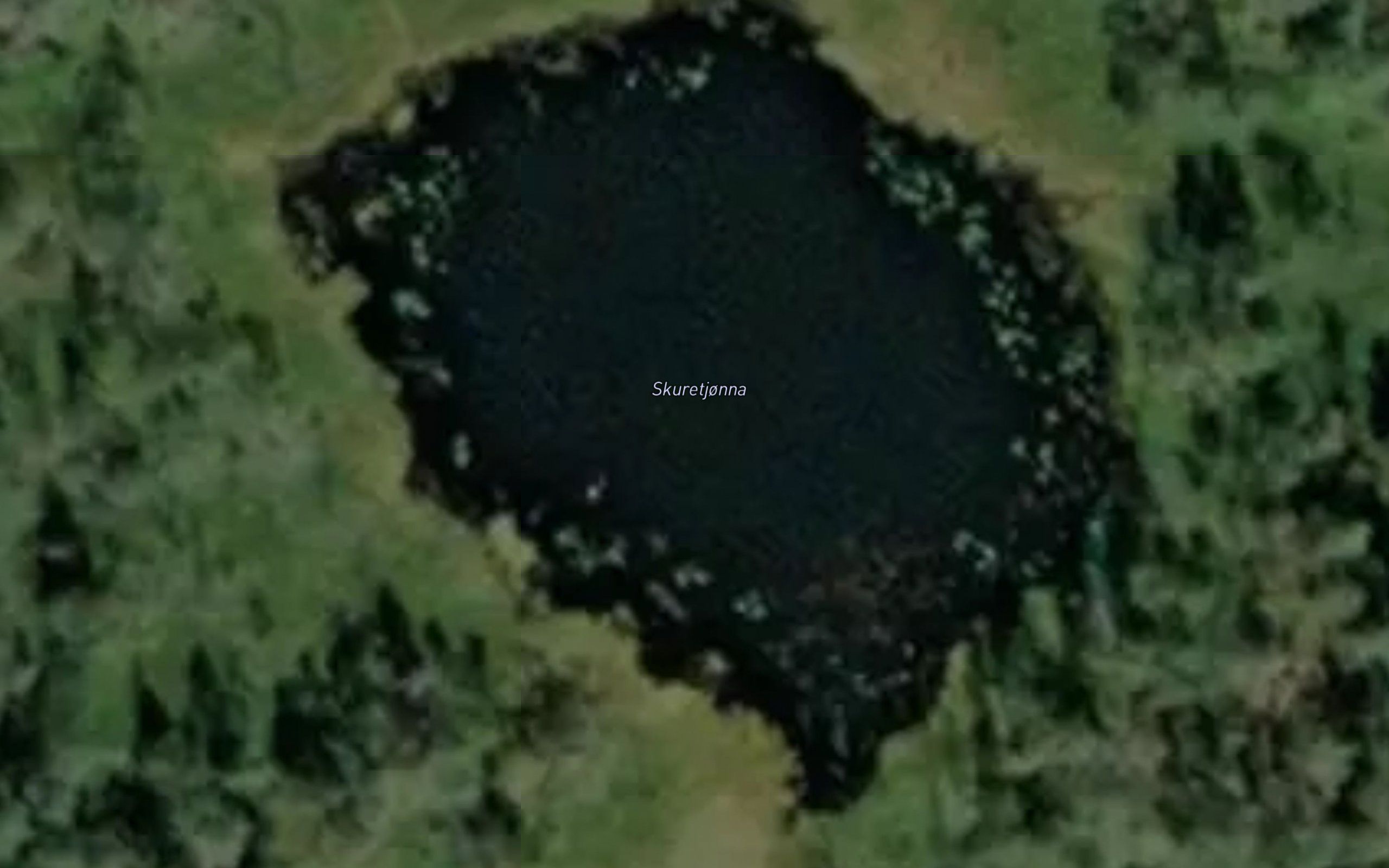 Skuretjonna
