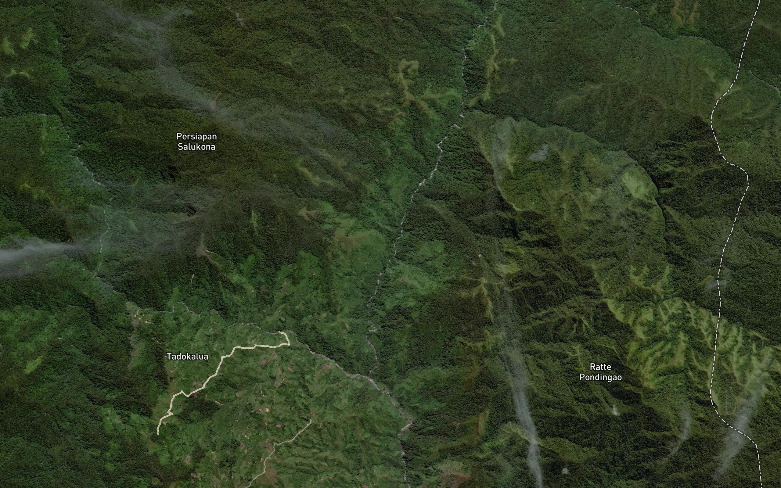 Salu Taman