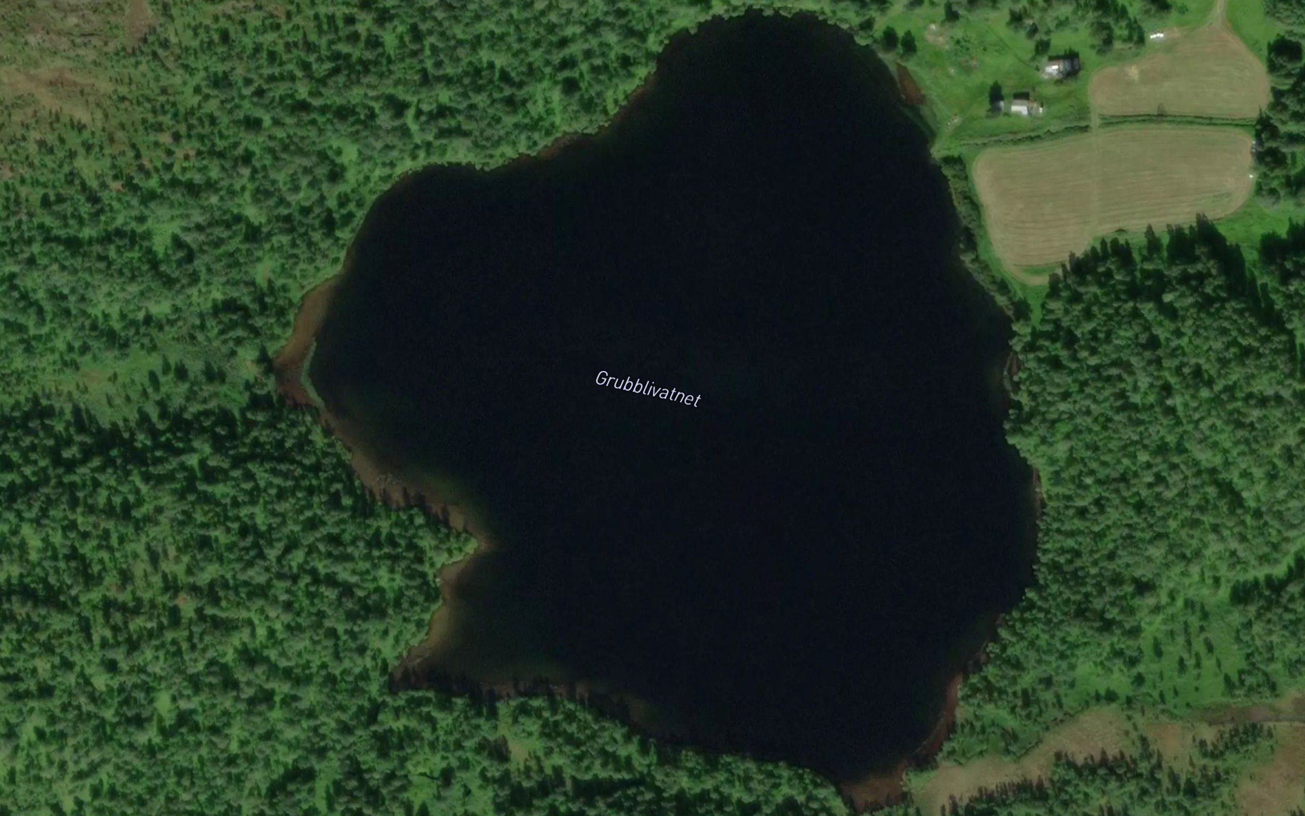 Grubblivatnet