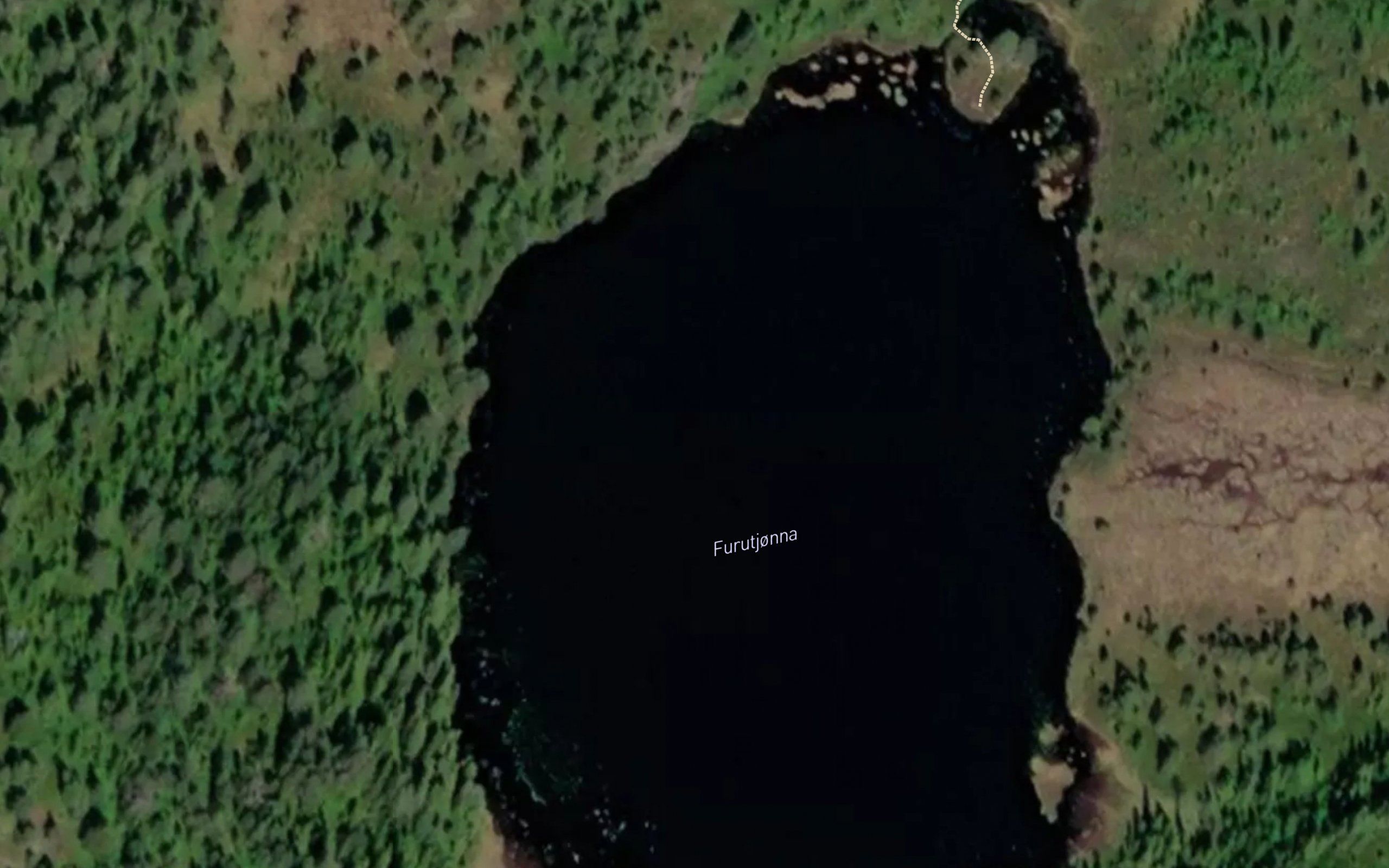 Furuhaugtjorna