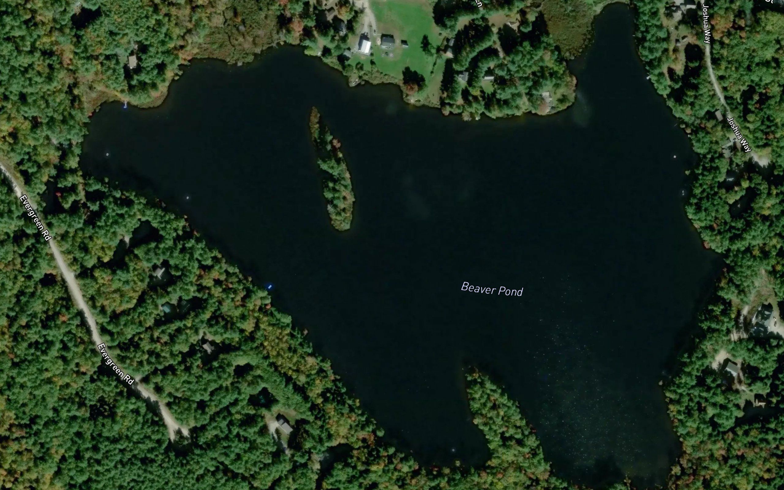 Beaver Pond