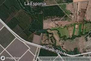 Estero Los Troncos