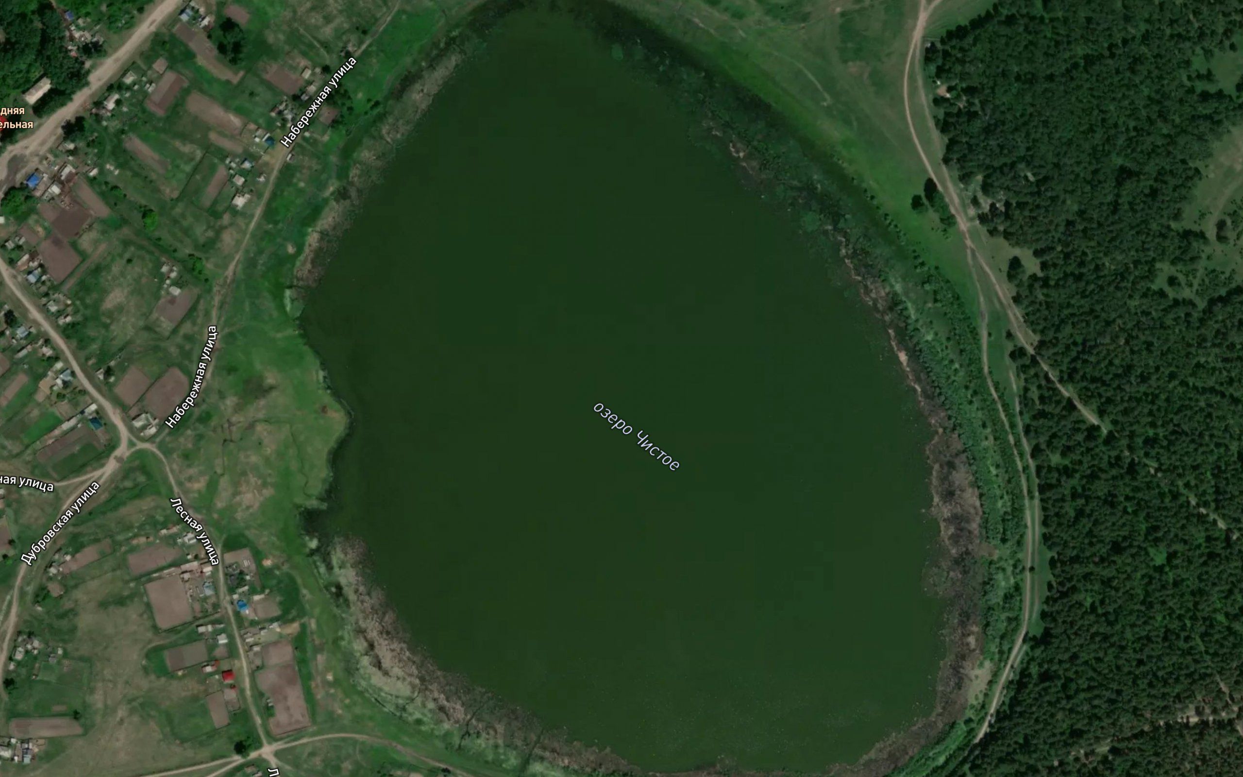 Ozero Chistoye