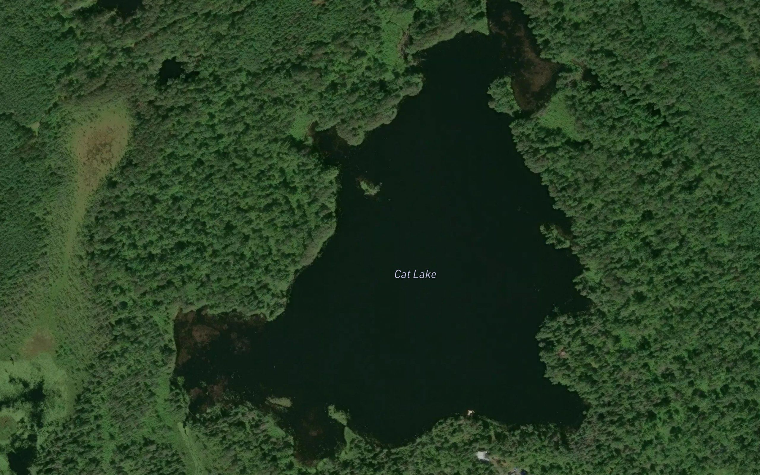 Cat Lake