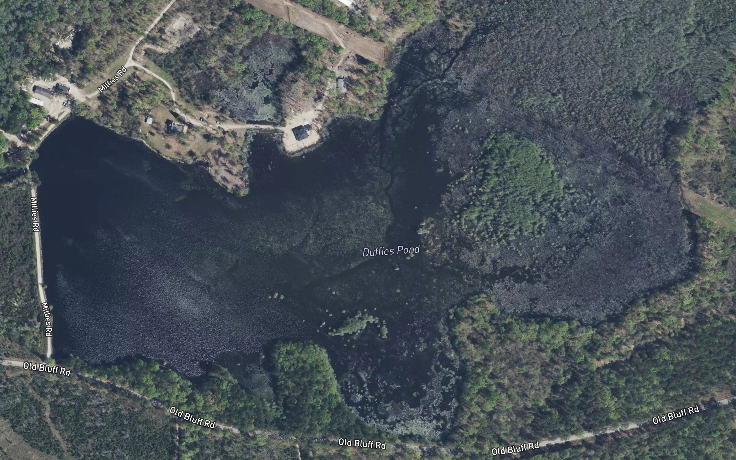 Duffies Pond