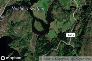 Nesheimsvatnet
