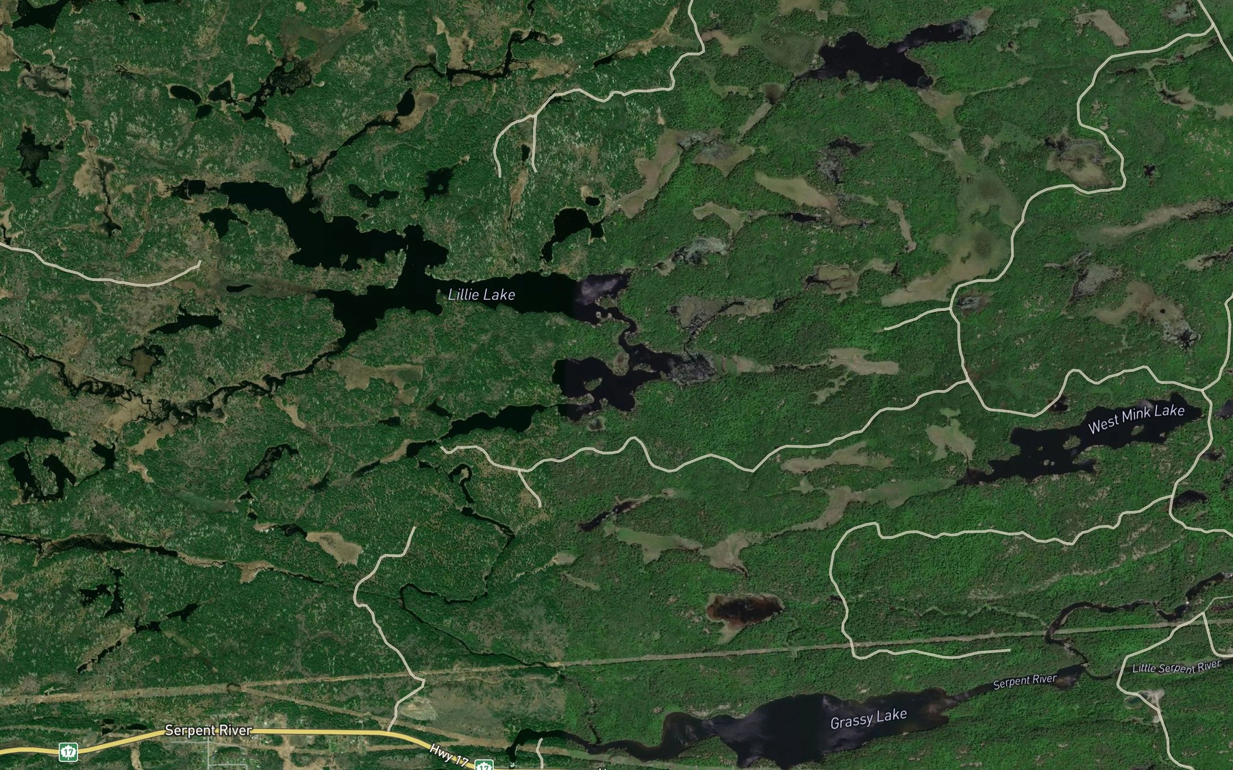 Satellite map of the Lizard Lake