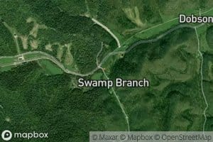 Swamp Branch