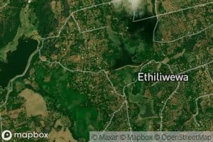 Etili Wewa