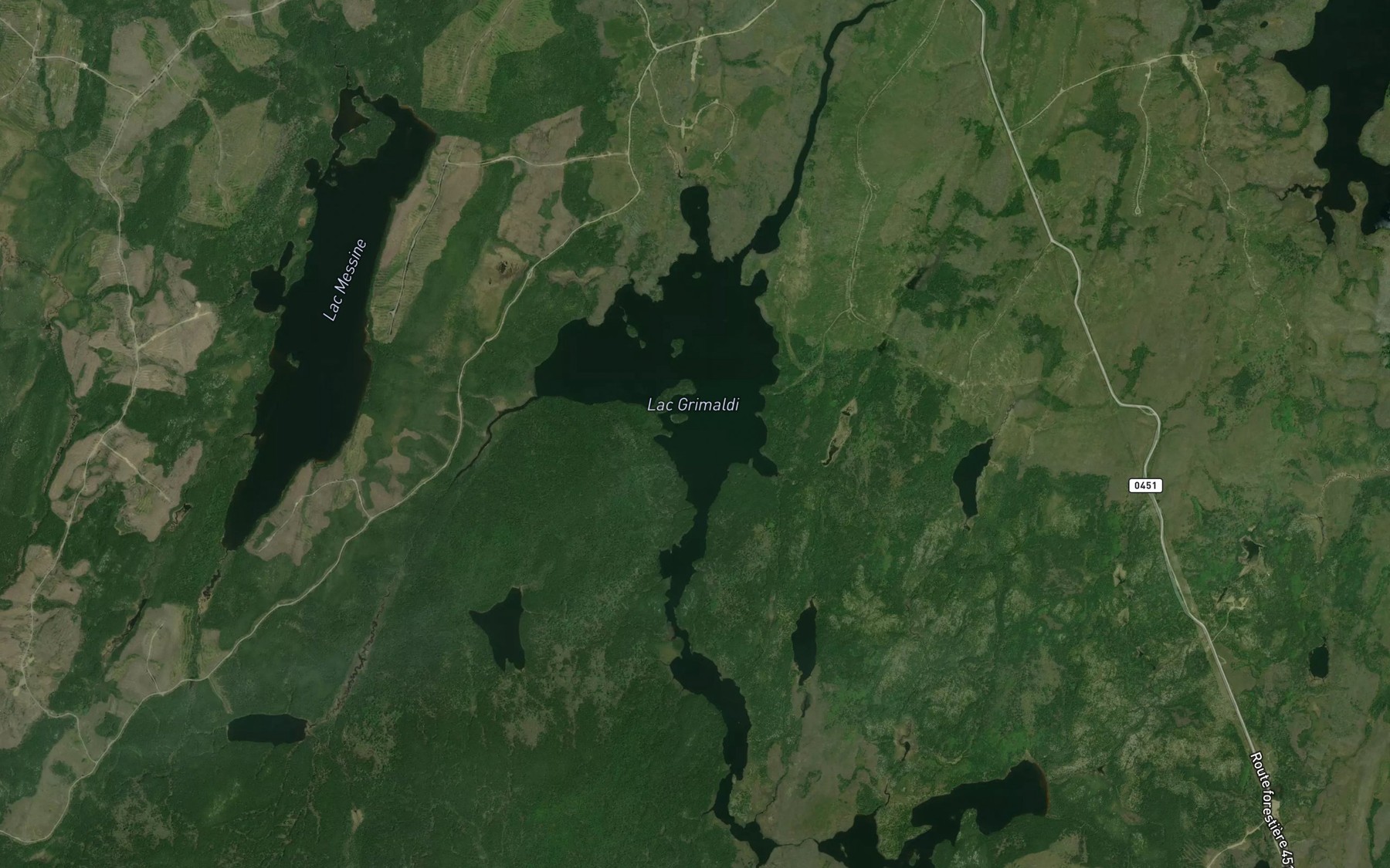 Satellite map of the Lac Grimaldi