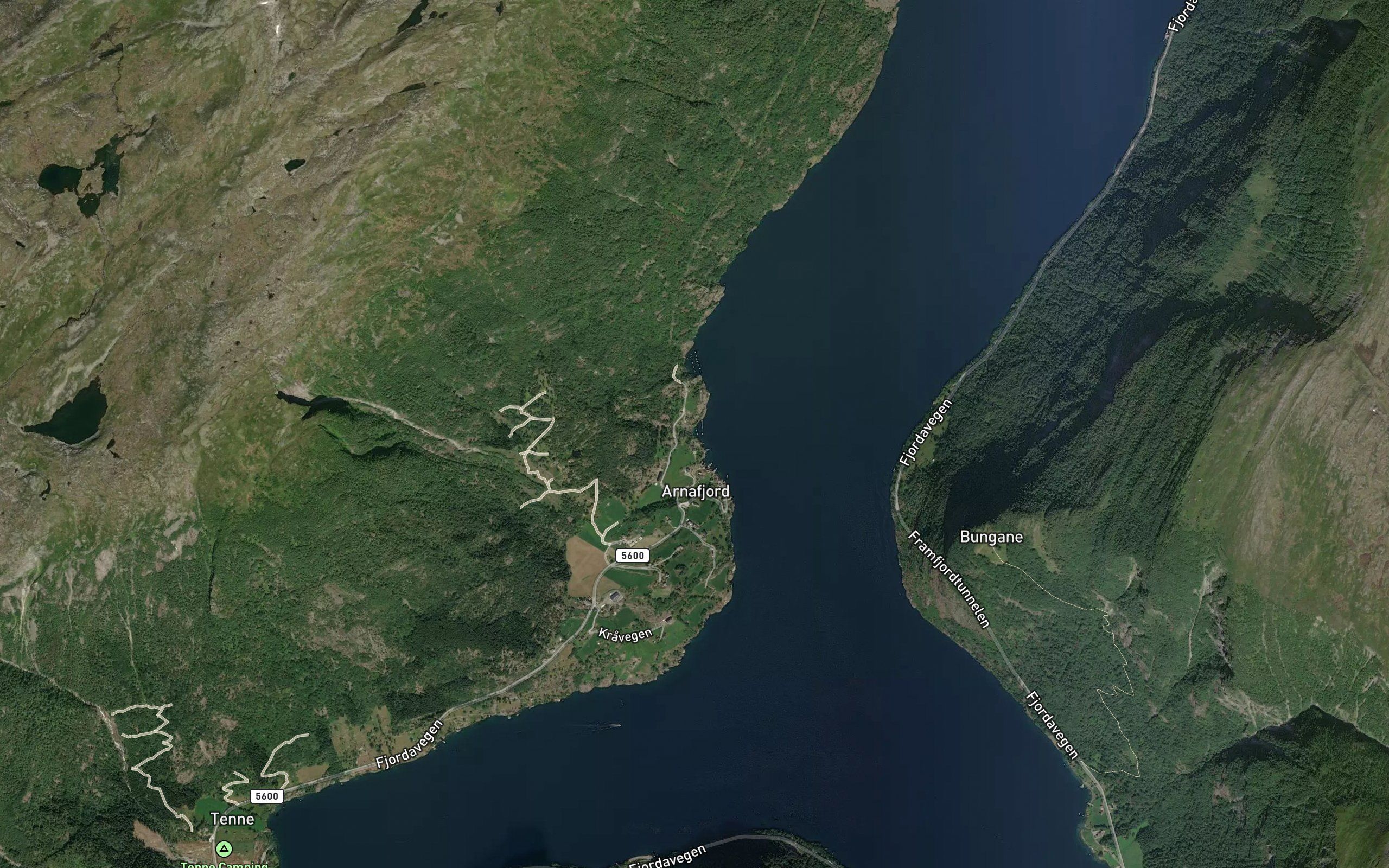 Soreviki