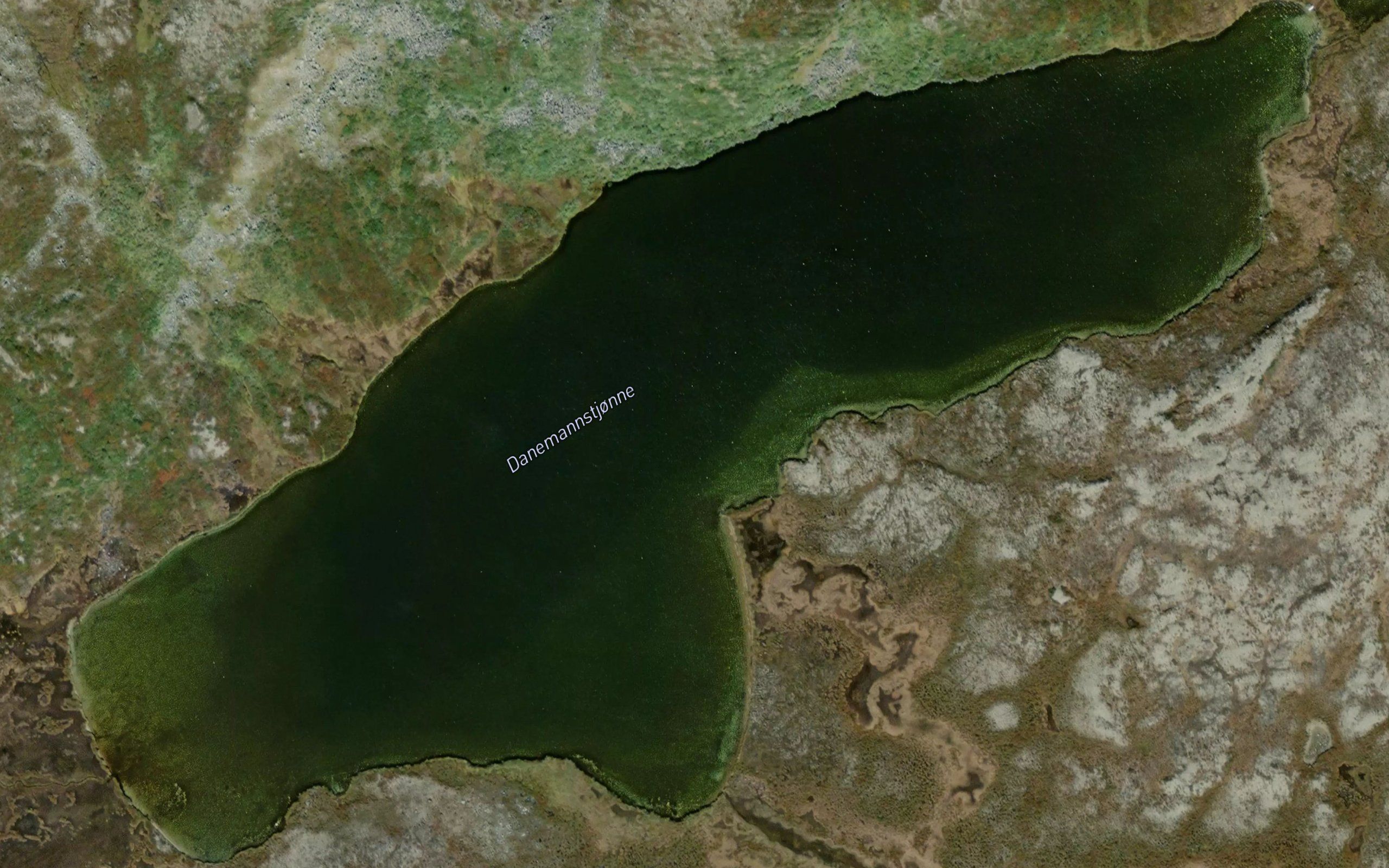 Danemannstjonne