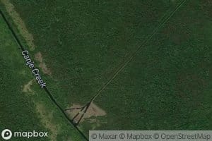 Port Mourant Water Path