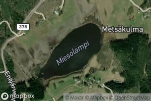Miesolampi