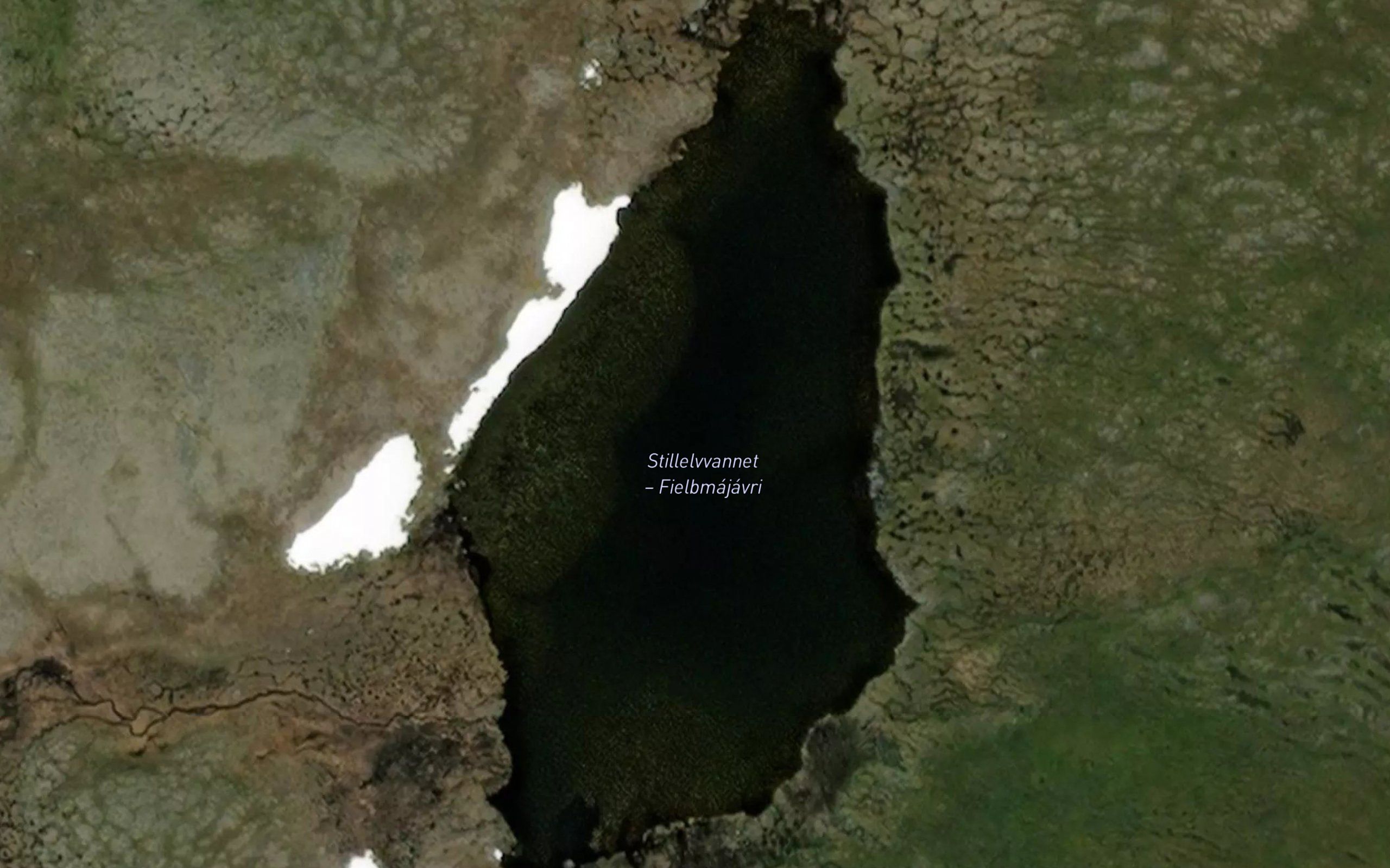Fielbmajavri