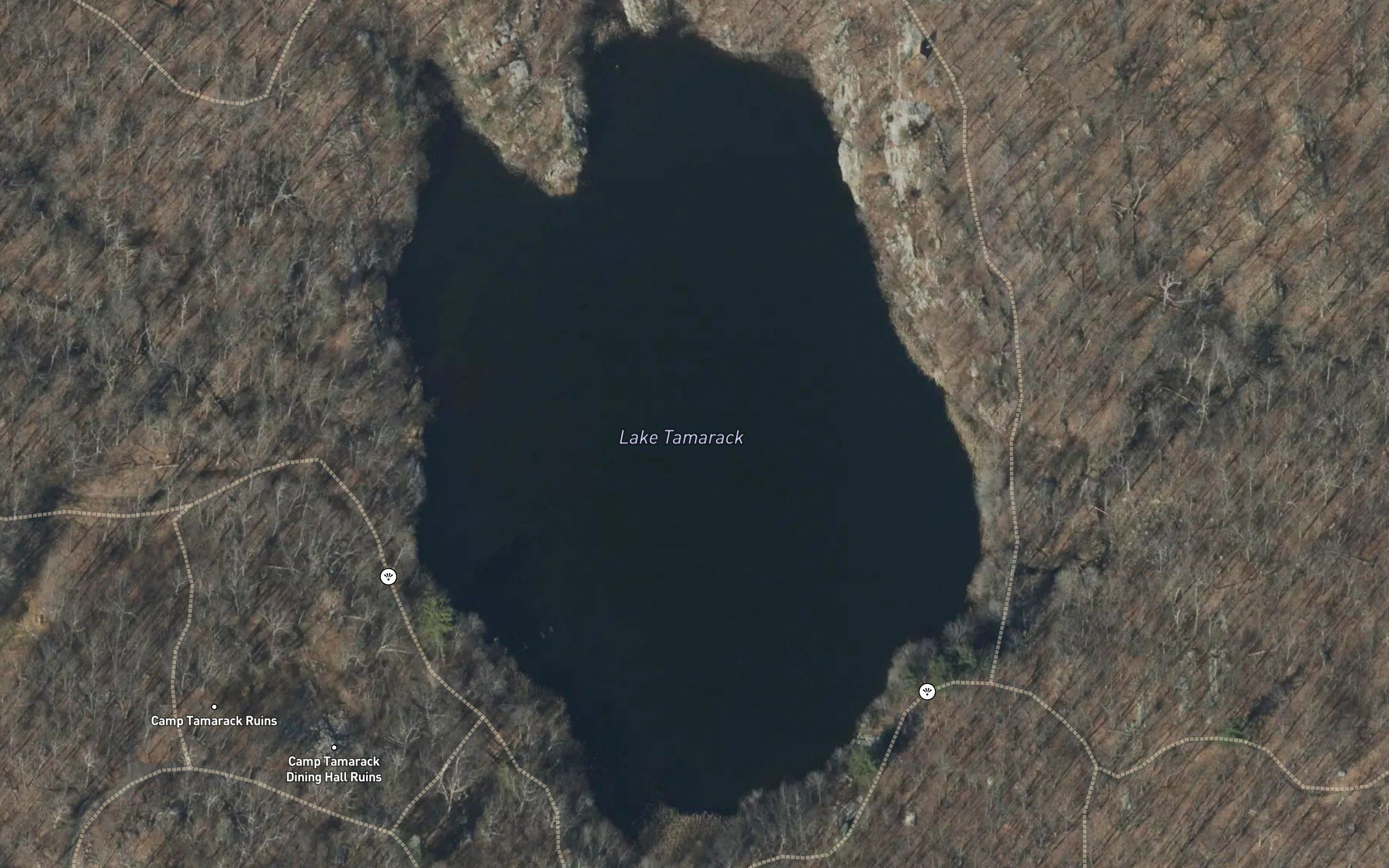 Lake Tamarack