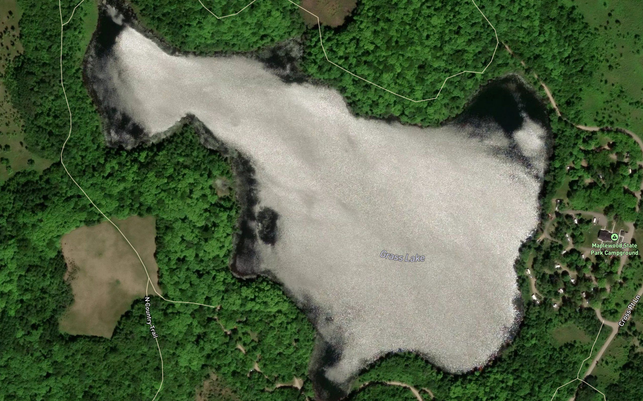 Grass Lake