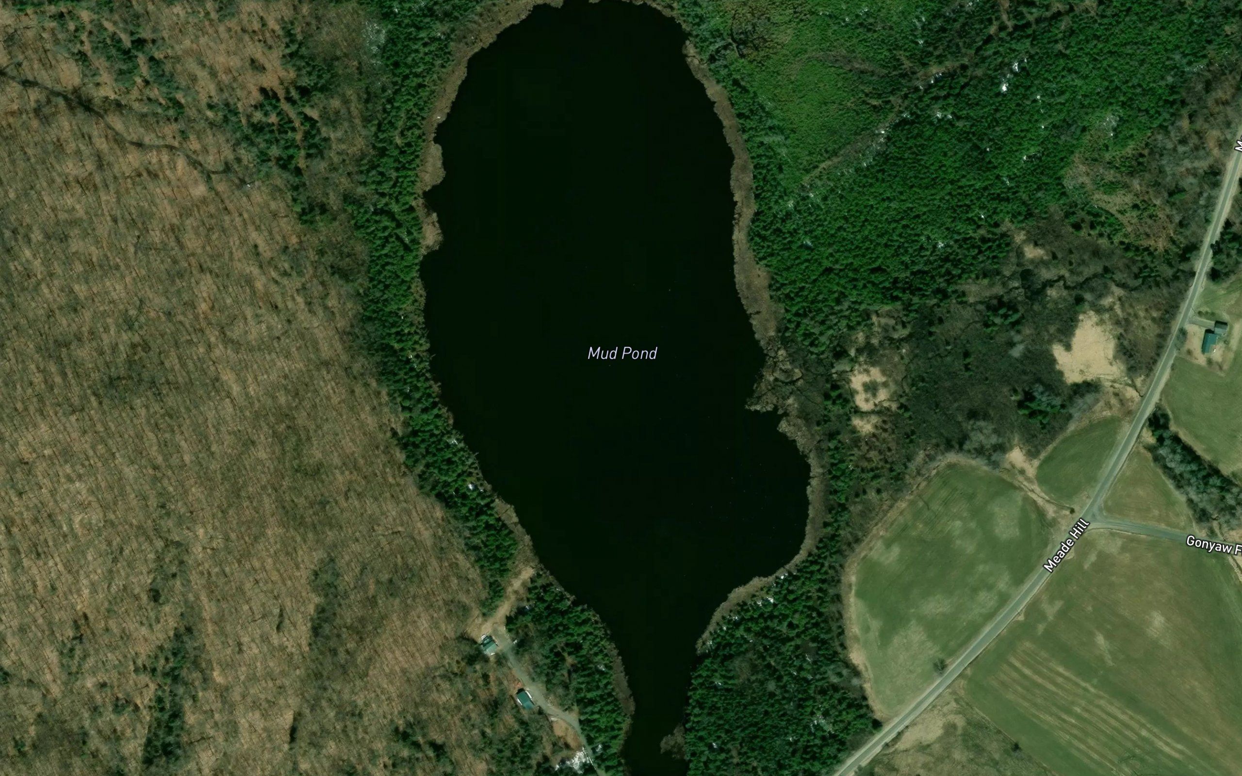 Mud Pond