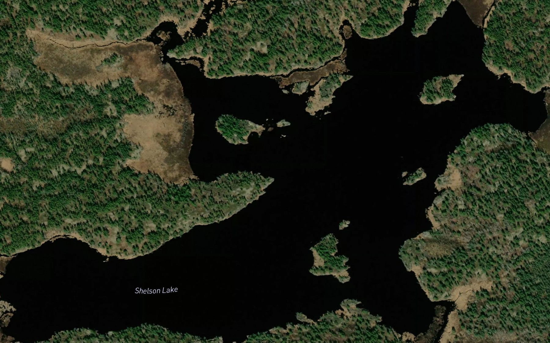 Satellite map of the Shelson Lake