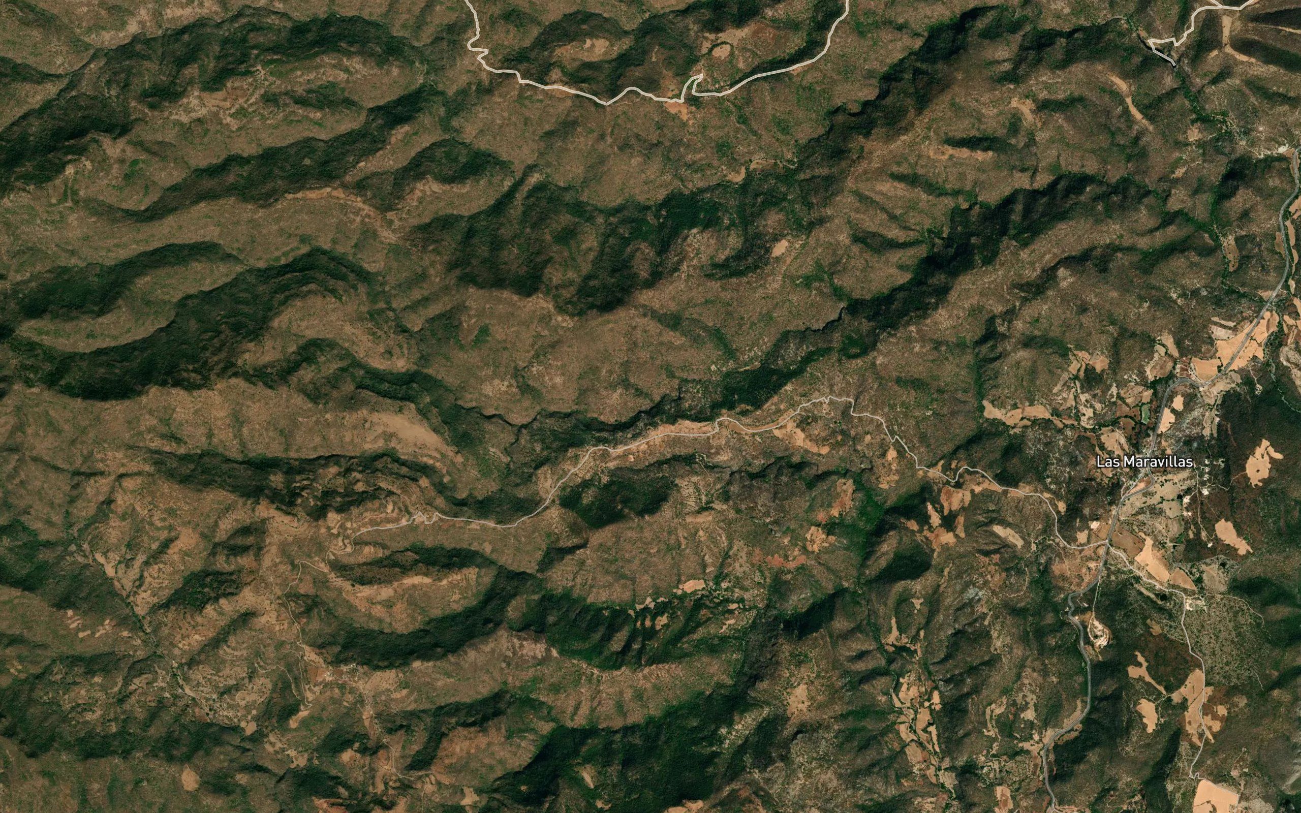 El Carrizal