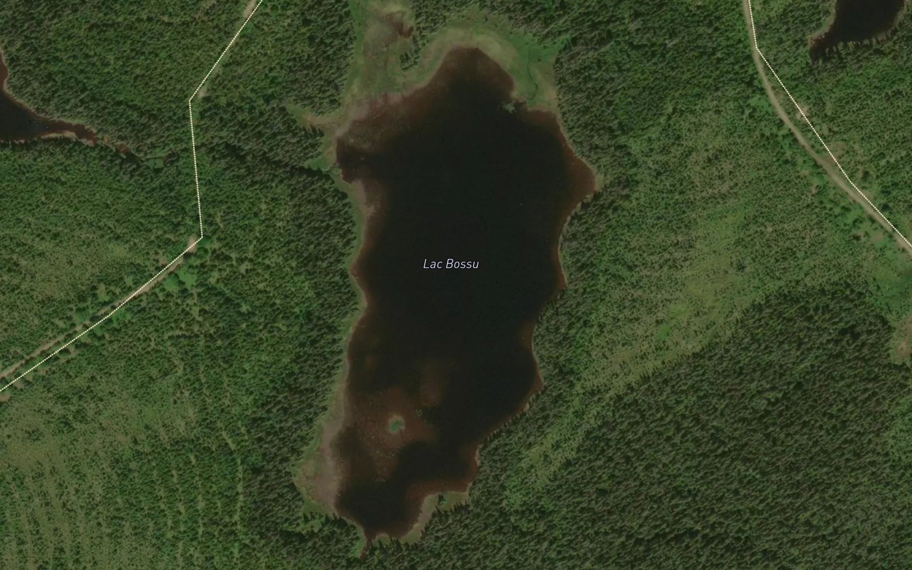 Satellite map of the Lac Bossu