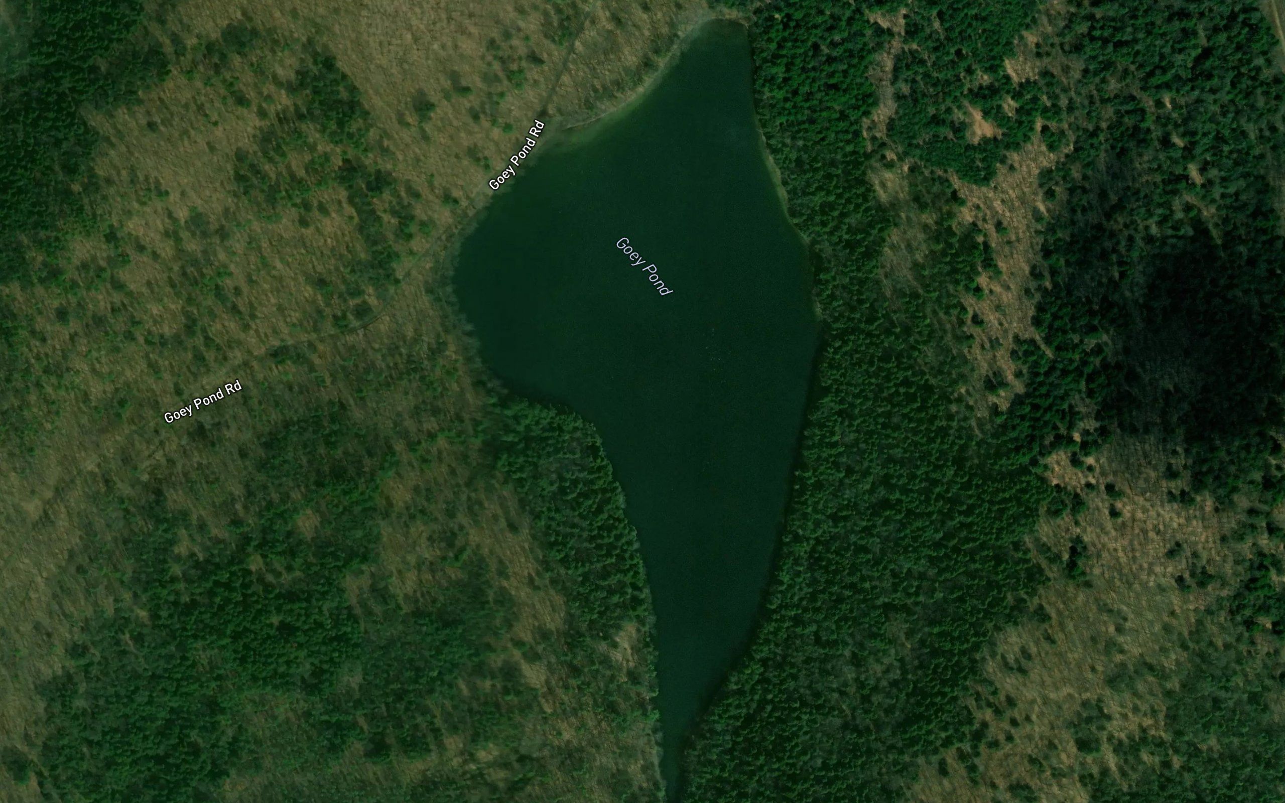 Goey Pond