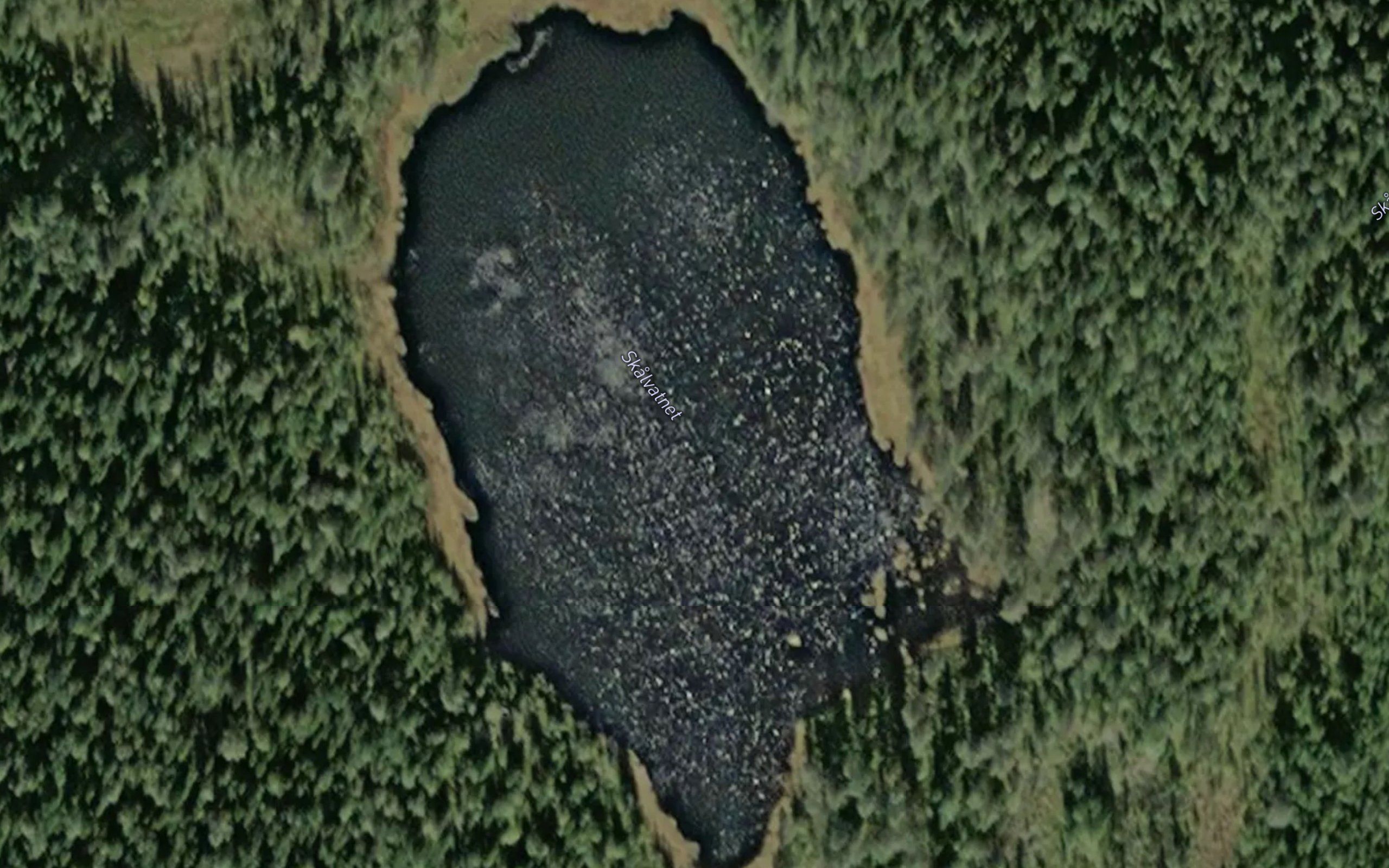 Skalvatnet