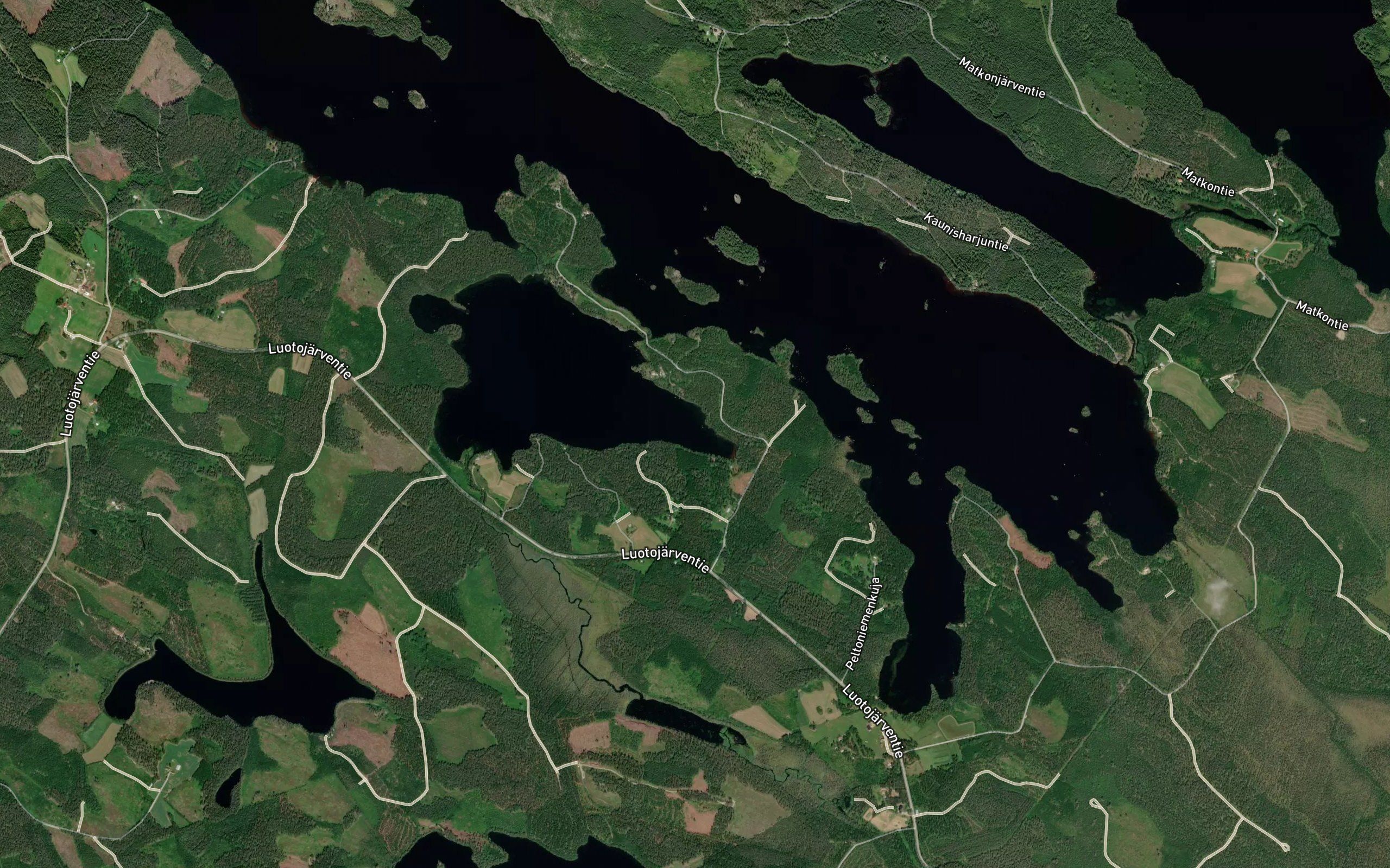Pitkalahti