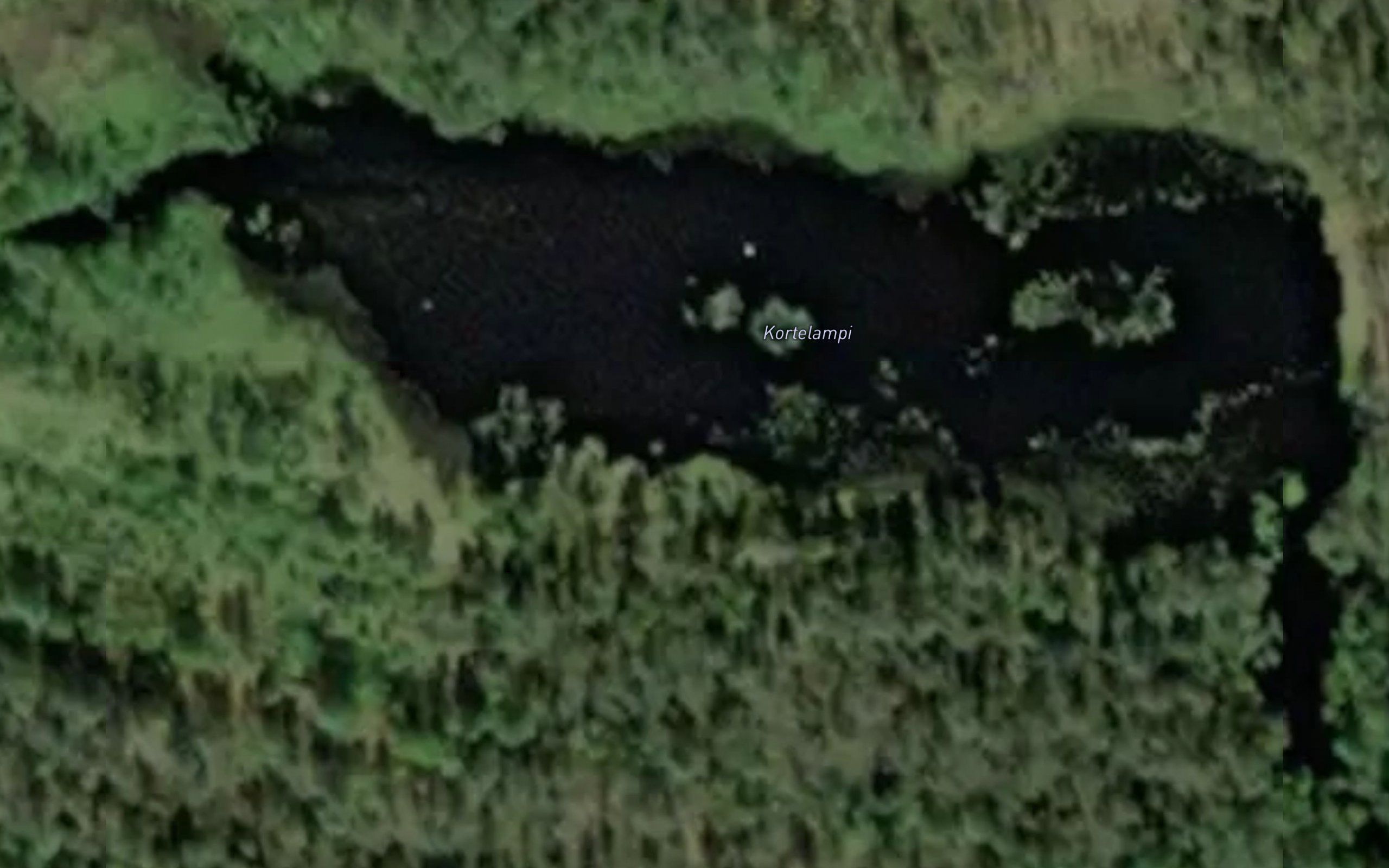 Kortelampi