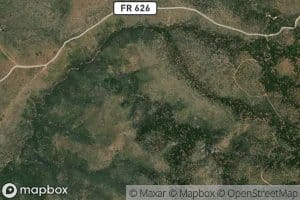 Balloon Cabin Spring