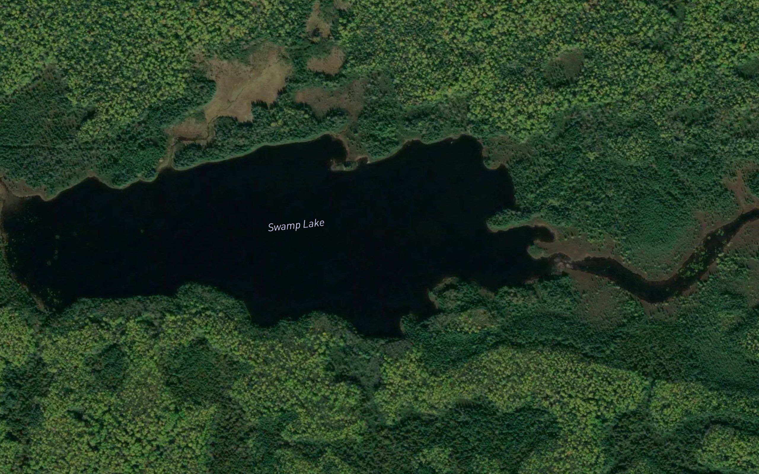 Swamp Lake