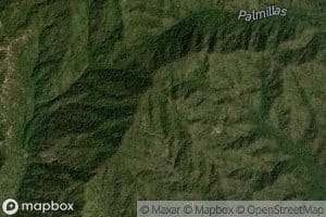 Arroyo del Algodonal