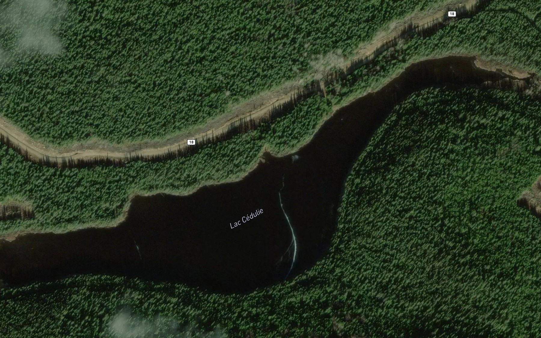 Satellite map of the Lac Cedulie