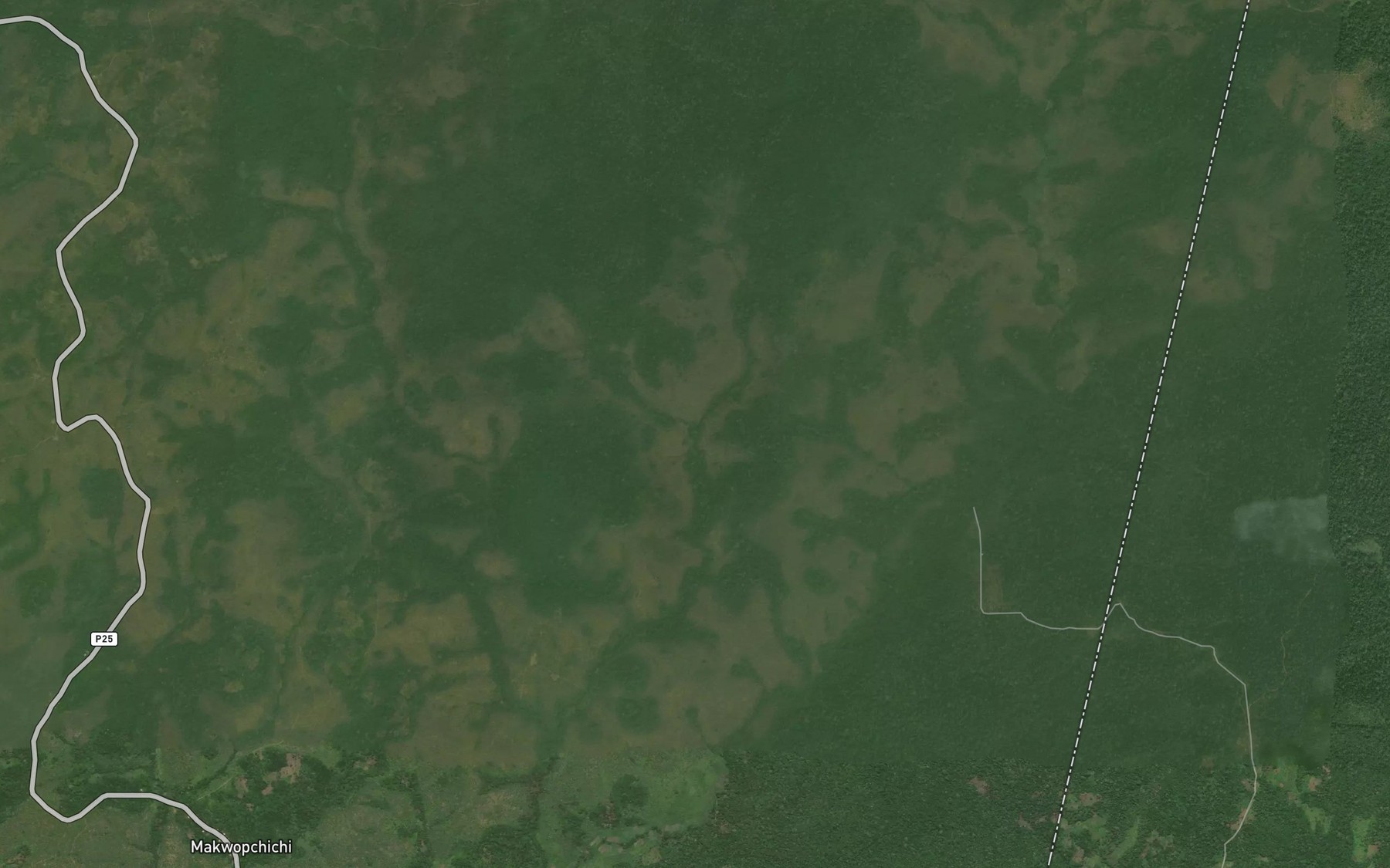 Satellite map of the Nafenkoue