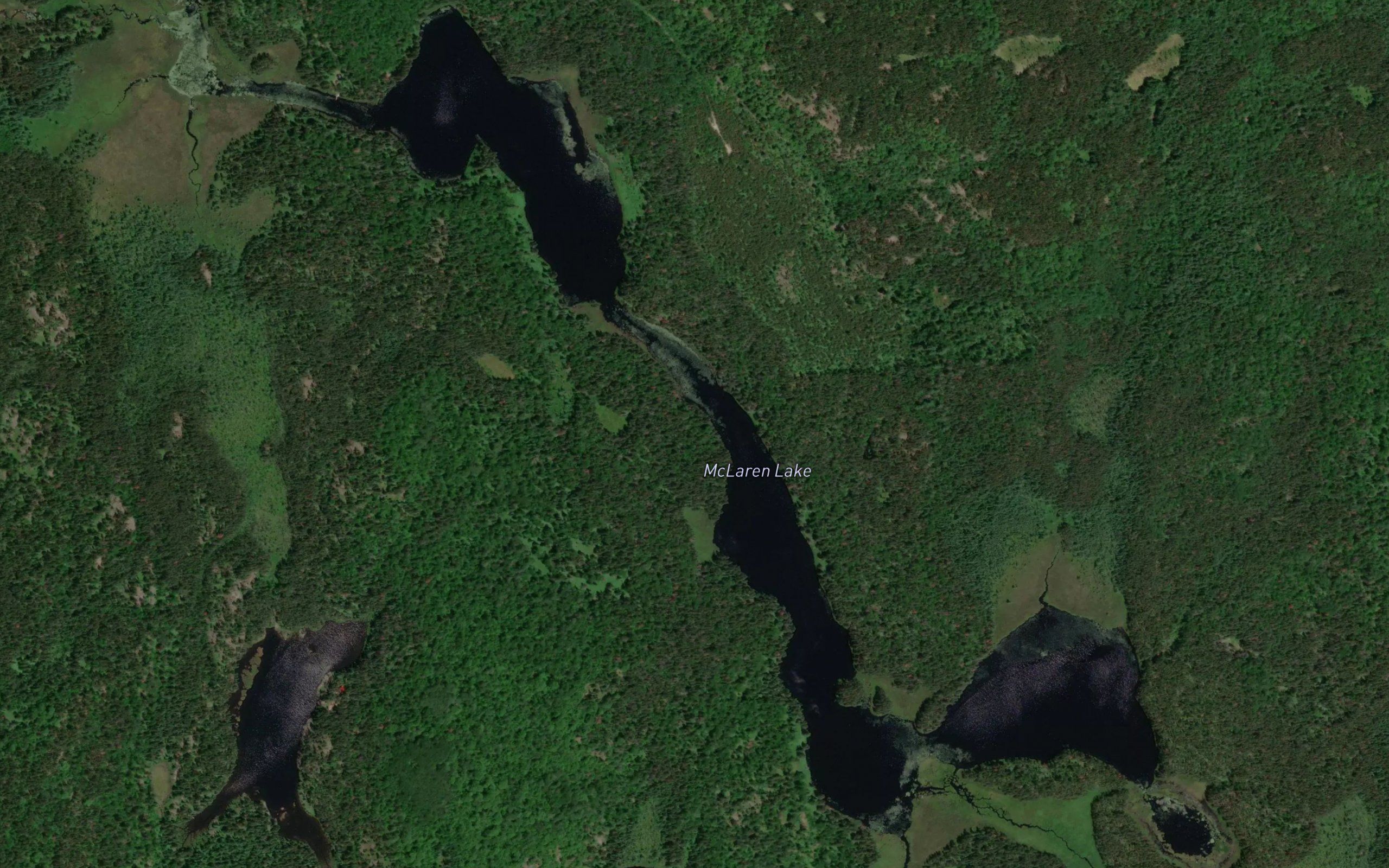 McLaren Lake