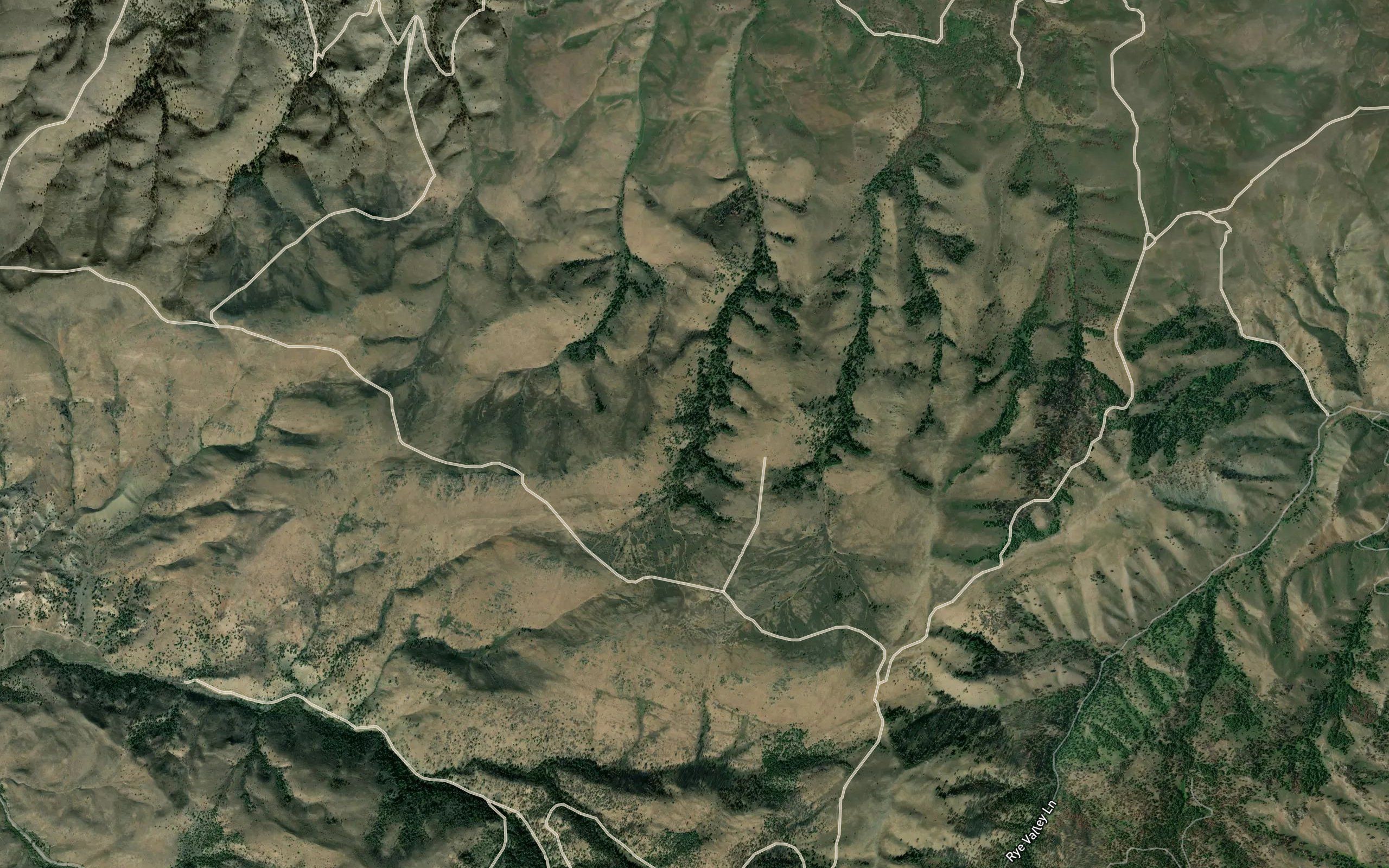Eddy Slough
