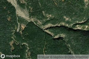 Bruin Creek