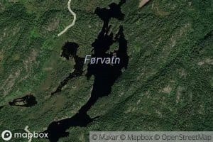 Forvatn