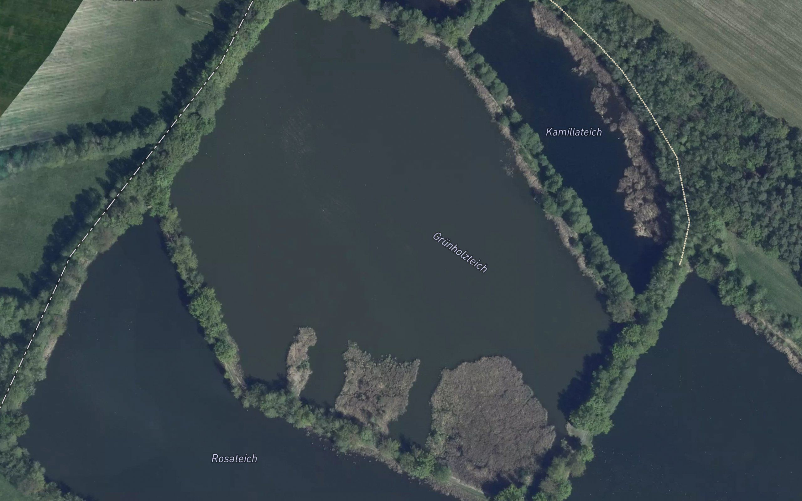 Grunholz-Teich
